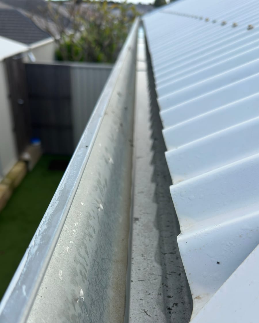 Roof gutter cleaned out along a Colorbond home